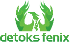 logo Detoks Fenix