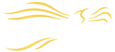 logo FreeDom